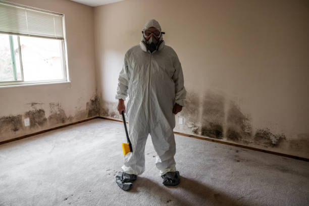 Reliable Houston, TX Mold Removal Solutions